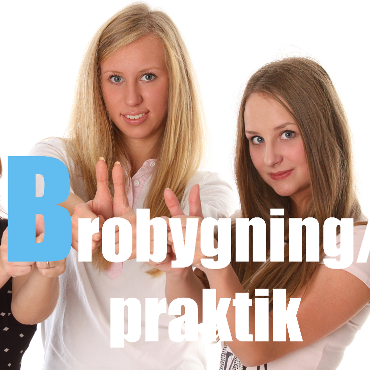 Brobygning_praktik